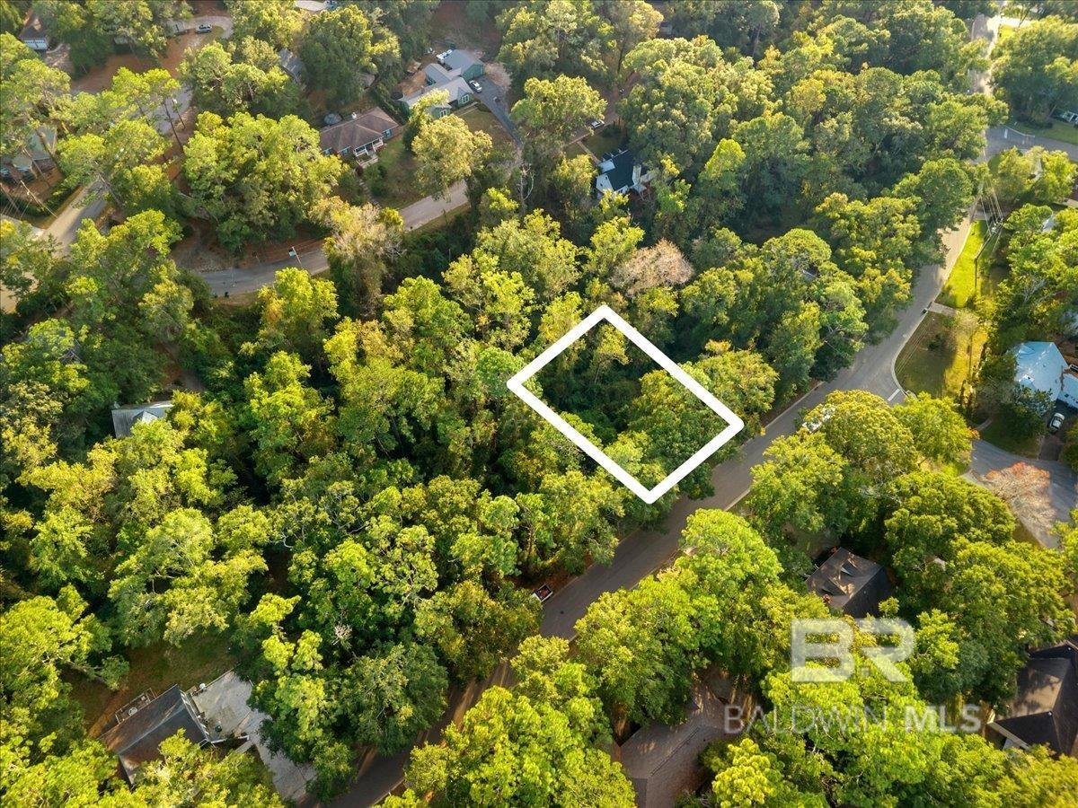 Image 4: Aerial View