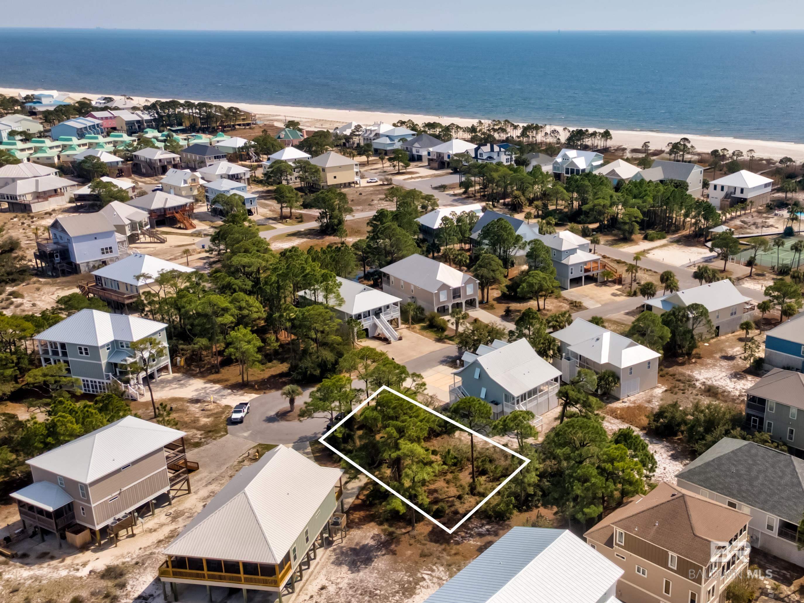 Image 3: Aerial View