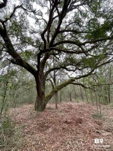 9847 S County Road 99