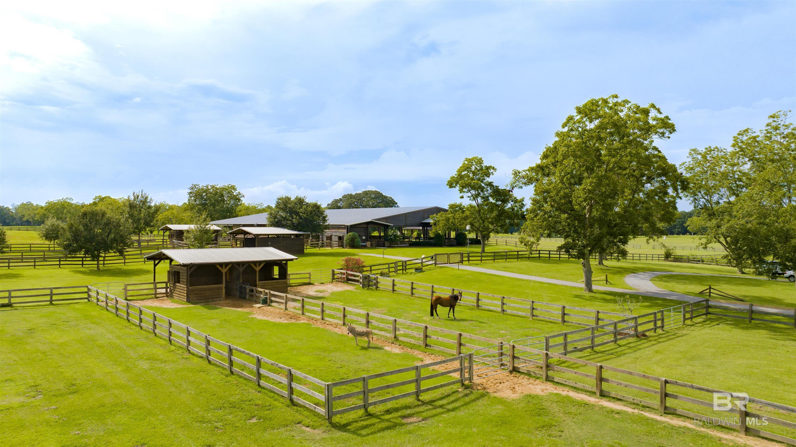Image 3: Stable
