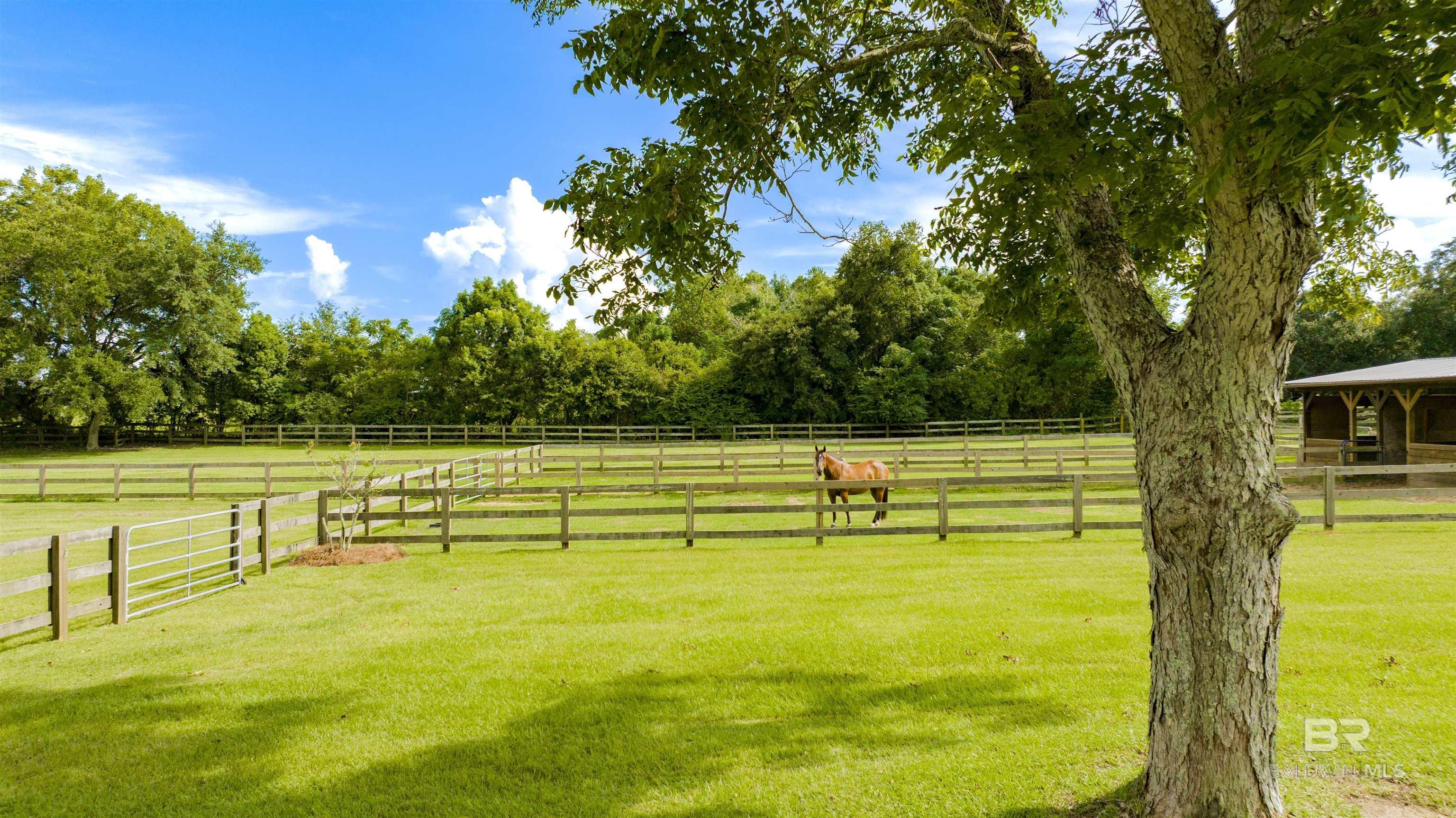 Image 4: Yard