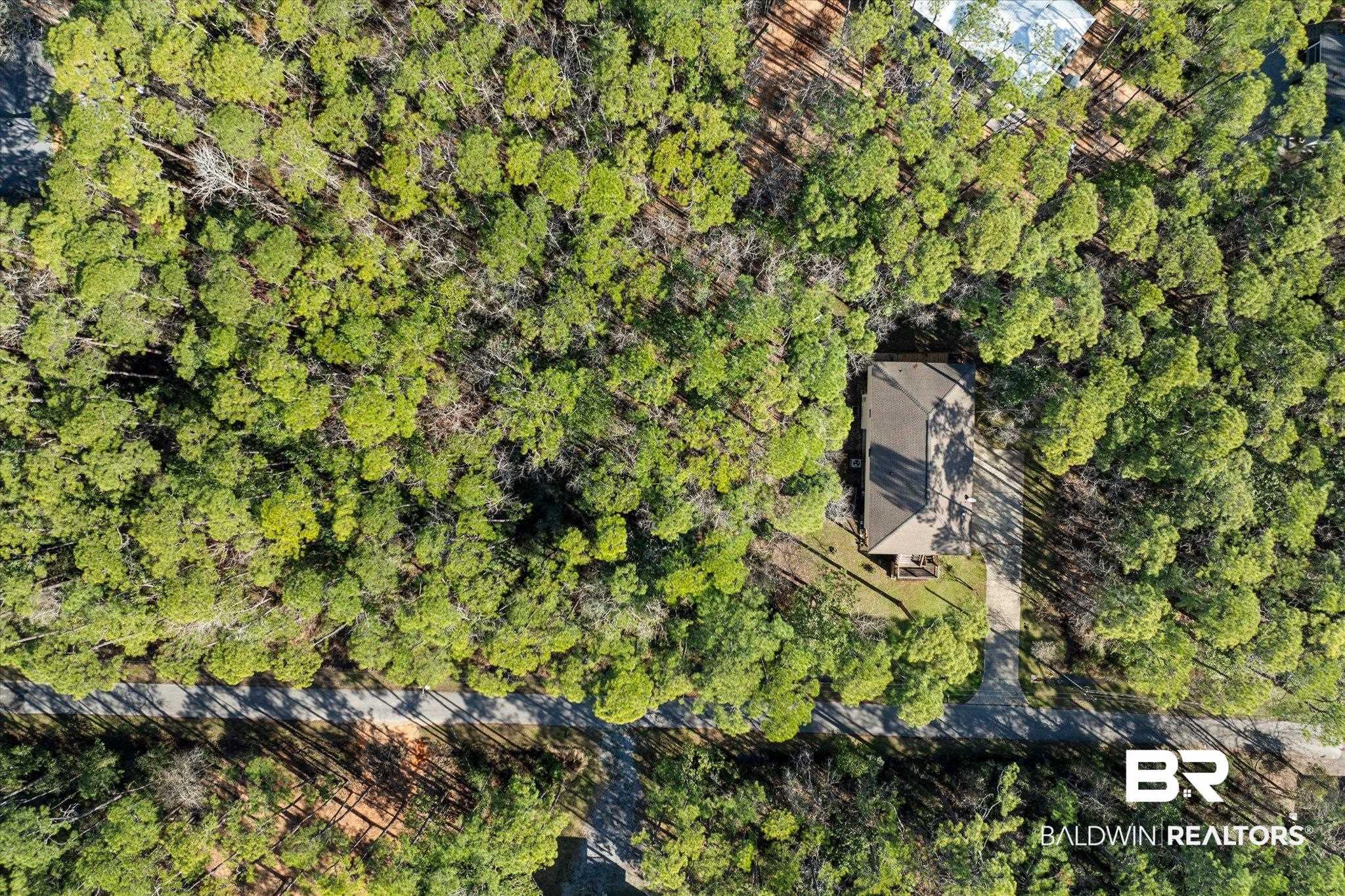Image 2: Aerial view with a forest view