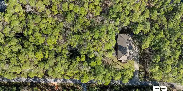 Image 2: Aerial view with a forest view