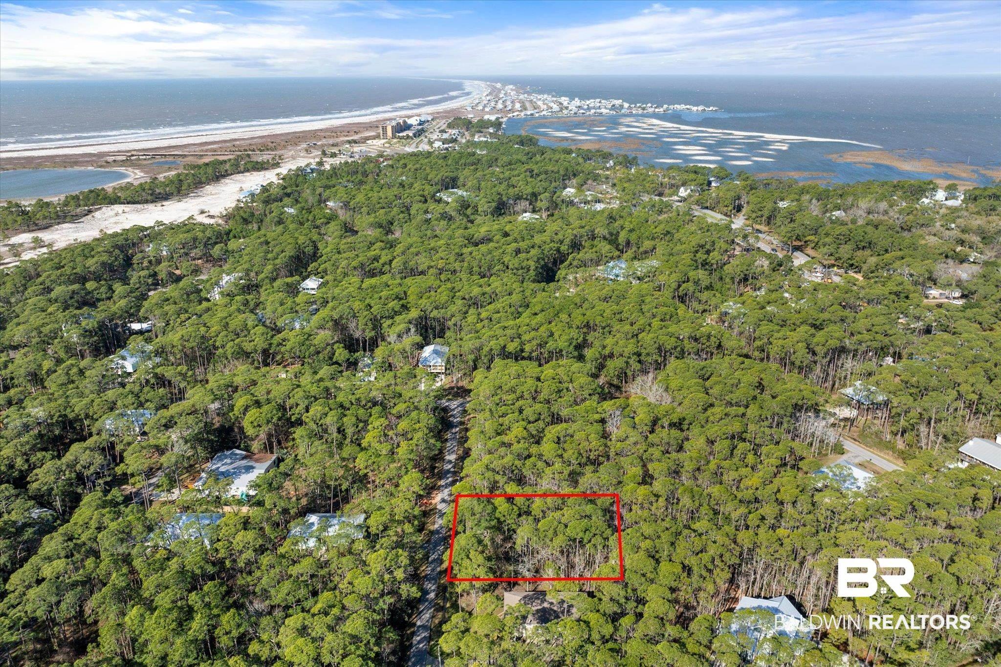 Image 3: Drone / aerial view with a water view and a forest view