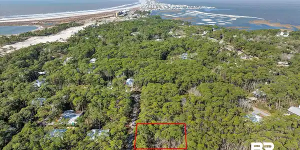 Image 3: Drone / aerial view with a water view and a forest view