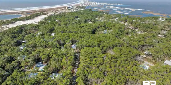 Image 4: Birds eye view of property with a water view and a wooded view