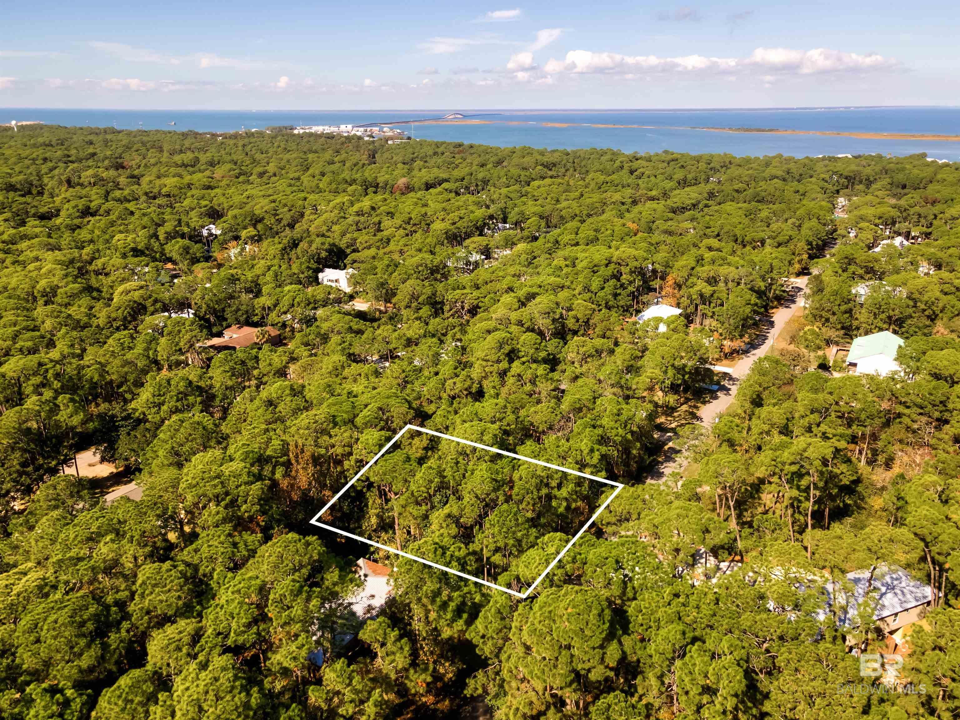 Image 3: Aerial View