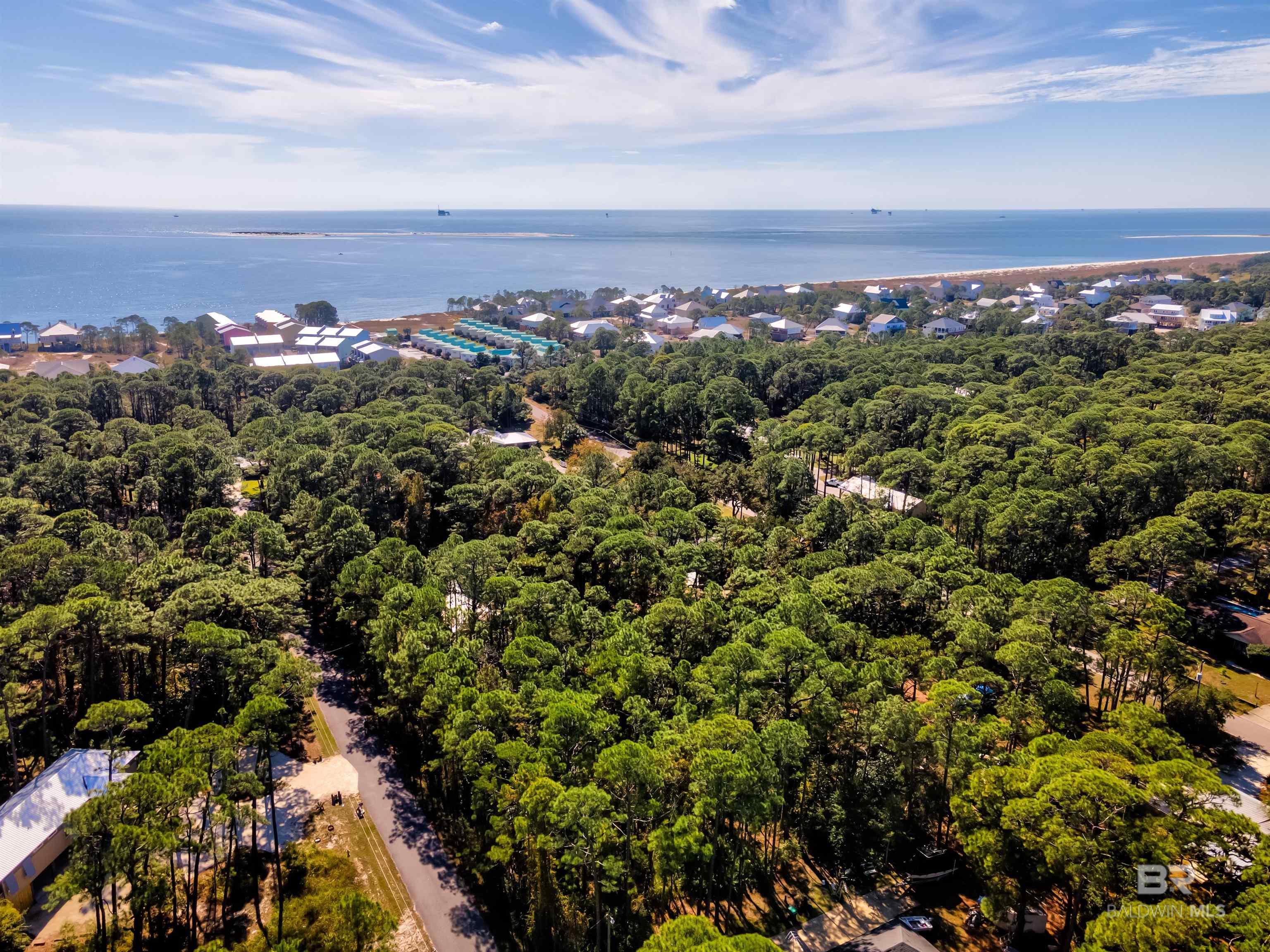 Image 4: Aerial View