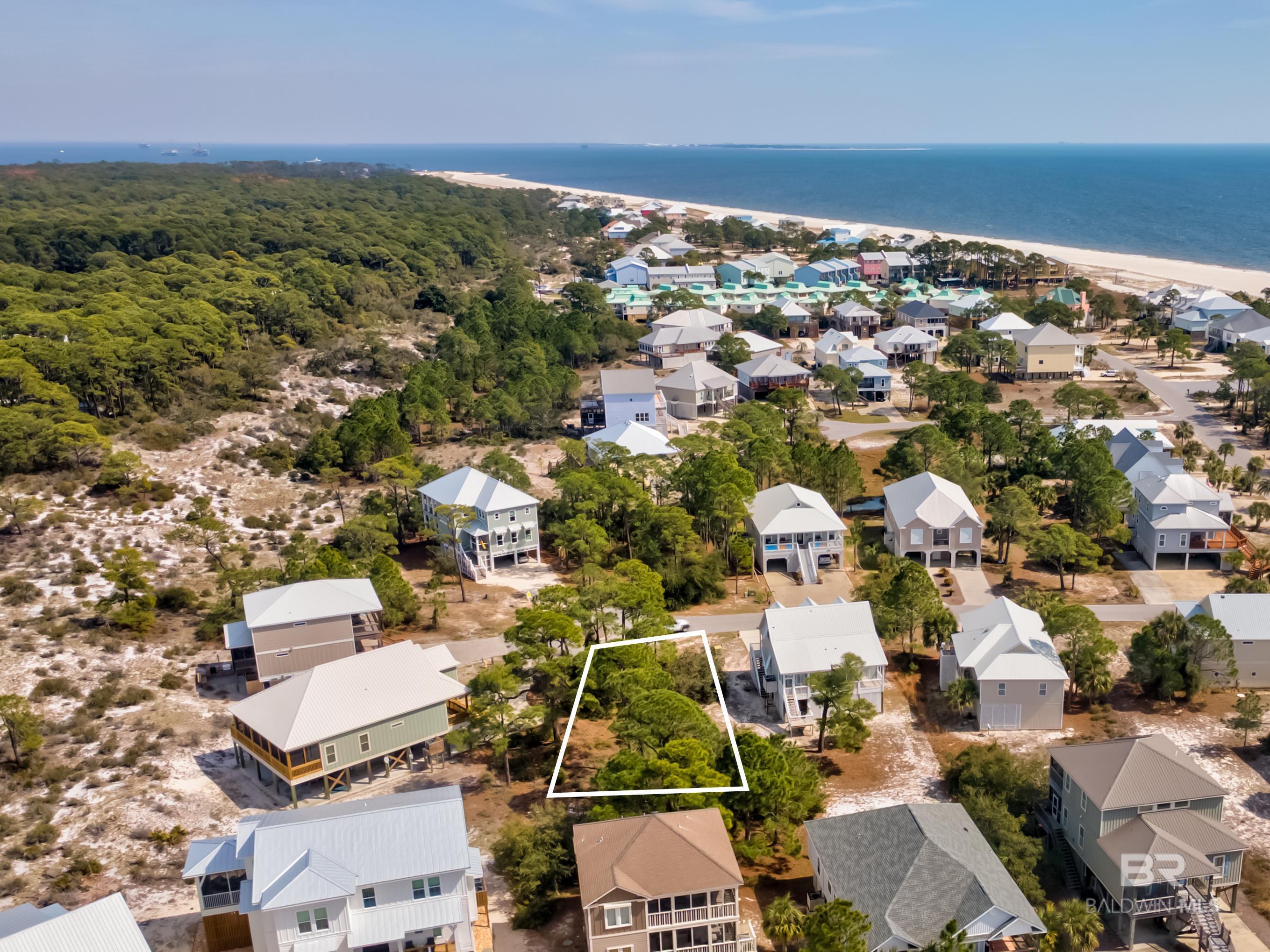 Image 4: Aerial View