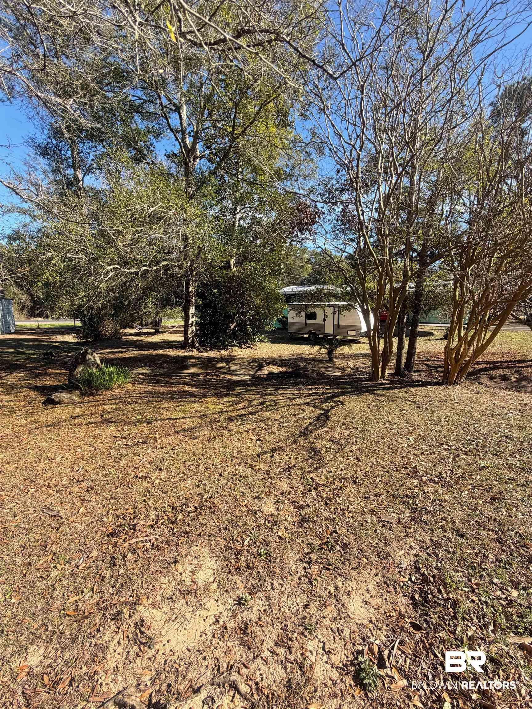 Image 2: View of yard