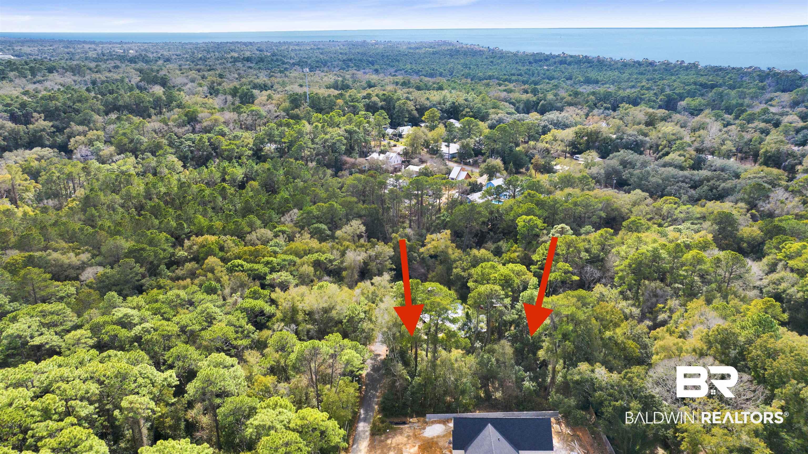 Image 4: Bird's eye view of a forest and a large body of water
