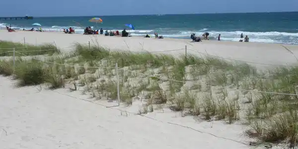 Image 3: BEACH
