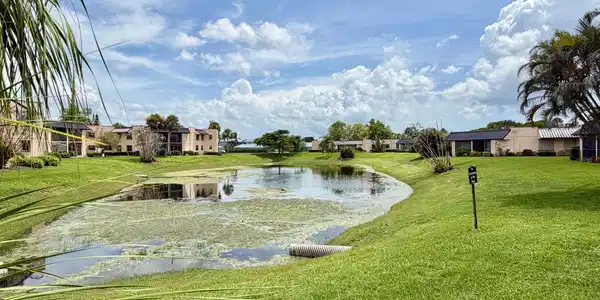Image 3: Community pond