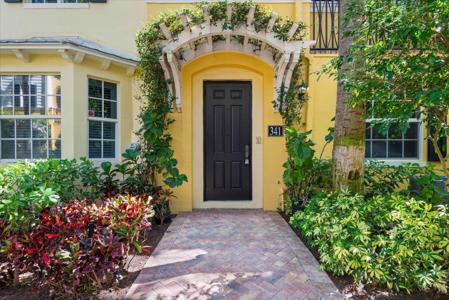 341 S Bromeliad