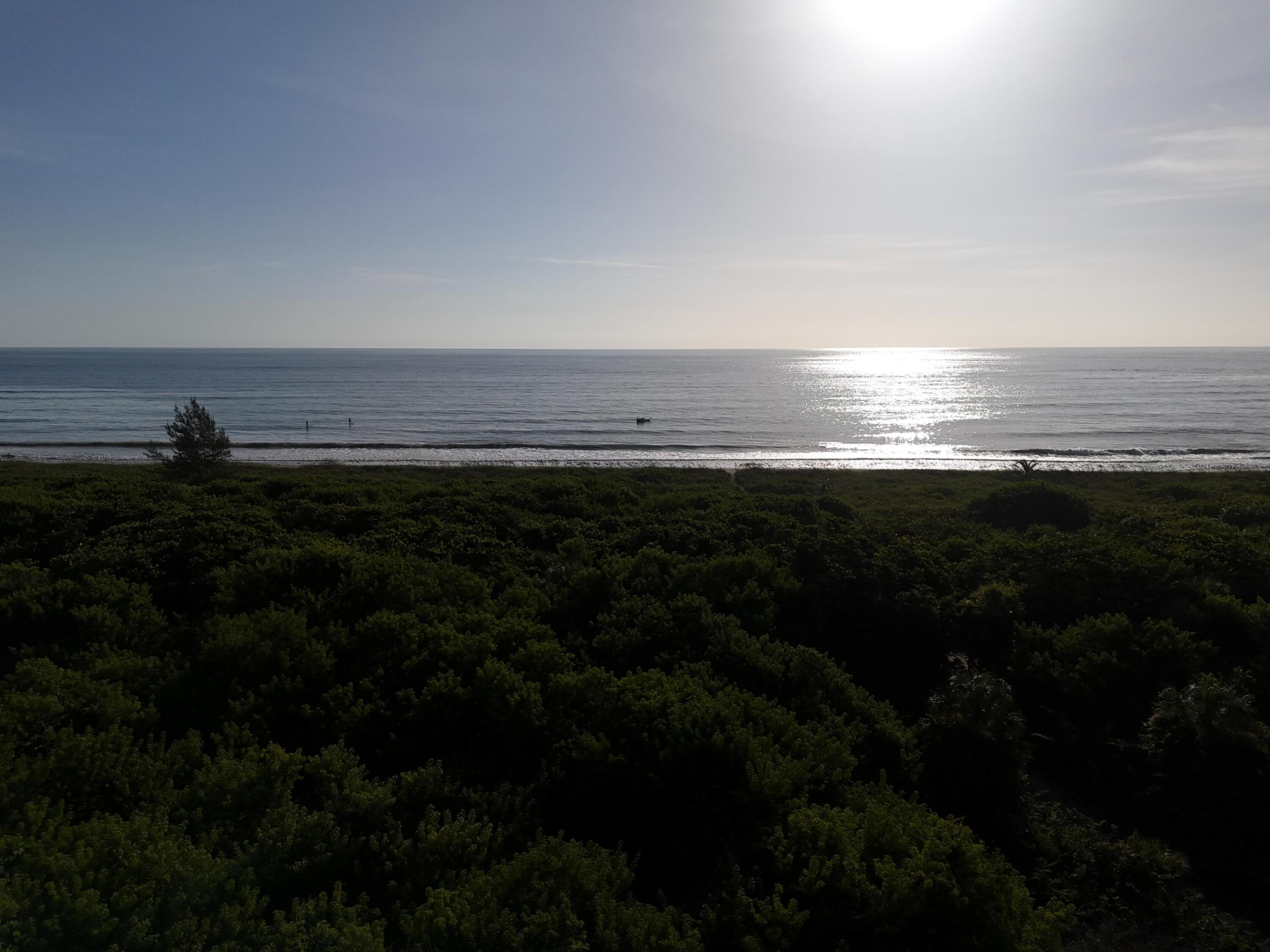 Image 2: DJI_20250805082833_0648_D