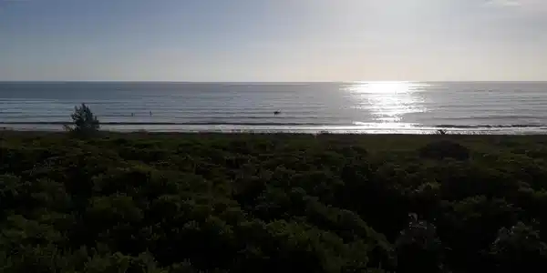 Image 2: DJI_20250805082833_0648_D