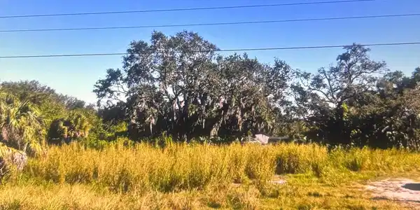 Image 2: 1