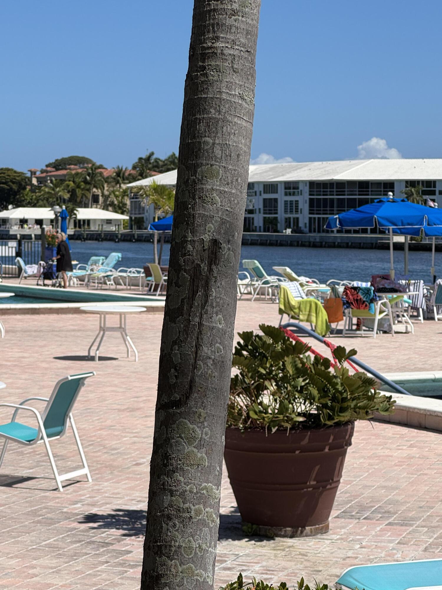 Image 4: Great Pool and chilling area