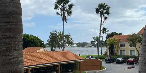 Image 2: VIEW