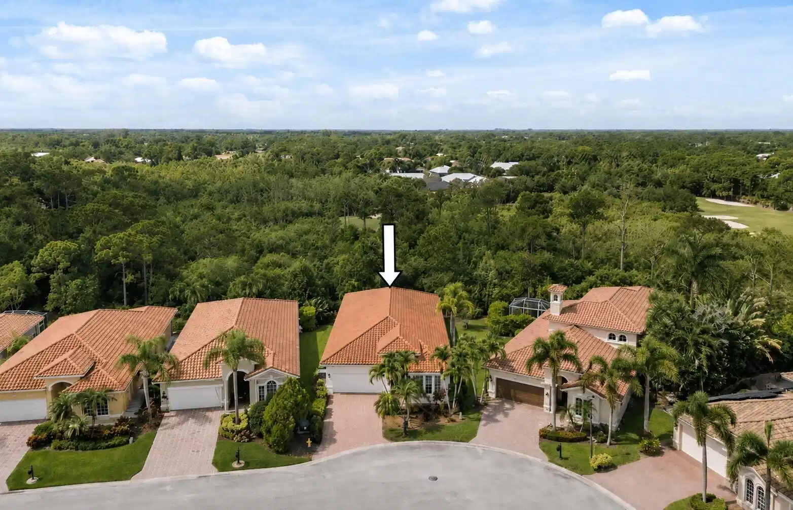 Image 1: Clean Roof 2