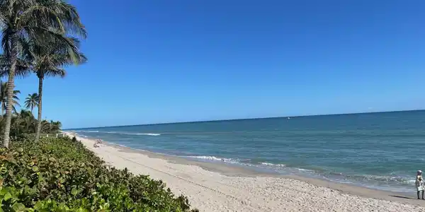 Image 3: Quiet, pristine and a short walk from the house