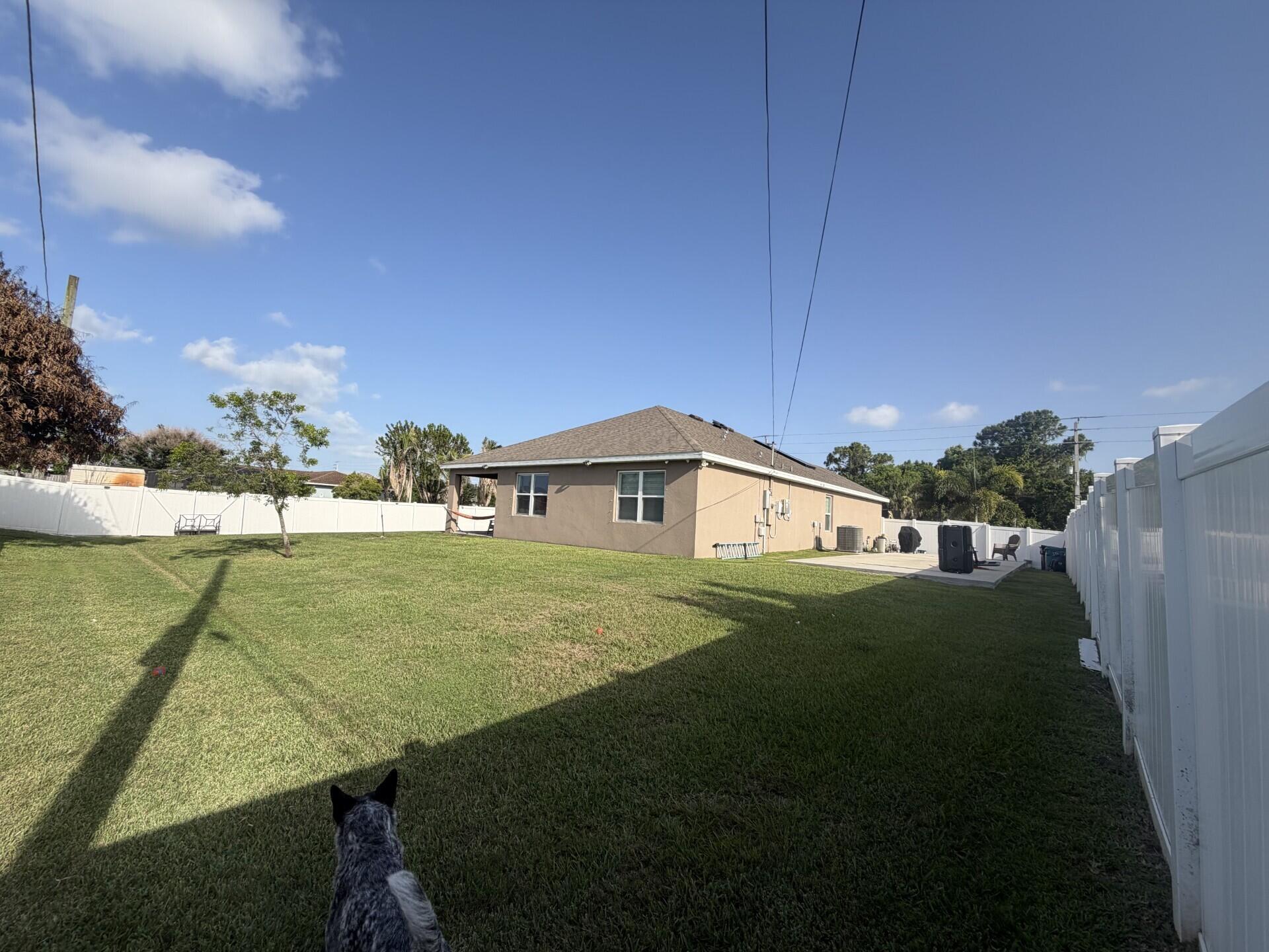 Image 4: Backyard