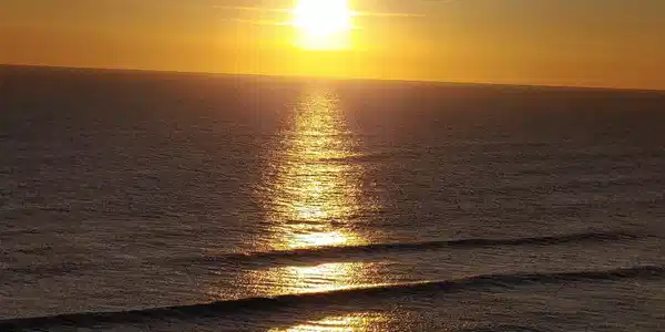 Image 3: SUNSET