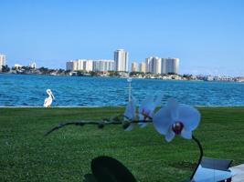 501 Lakeshore Drive
