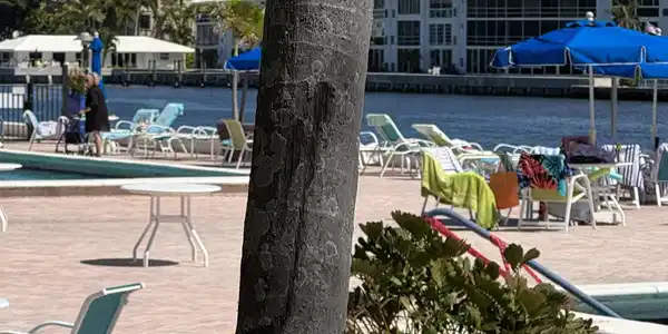 Image 4: Great Pool and chilling area