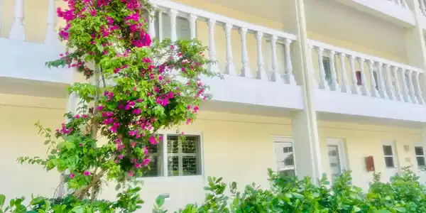 60 Venetian Drive