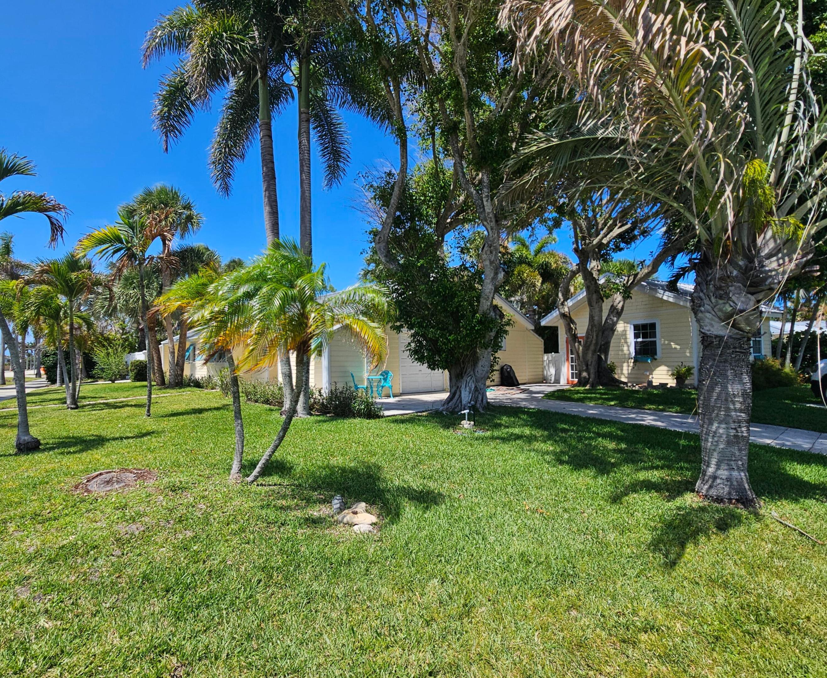 Image 3: Property filled with native tropical plants!