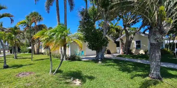 Image 3: Property filled with native tropical plants!