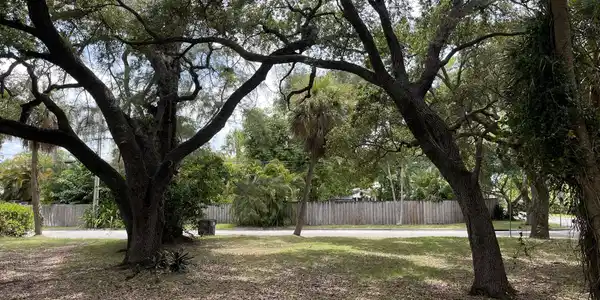 Image 3: 3-front yard to street