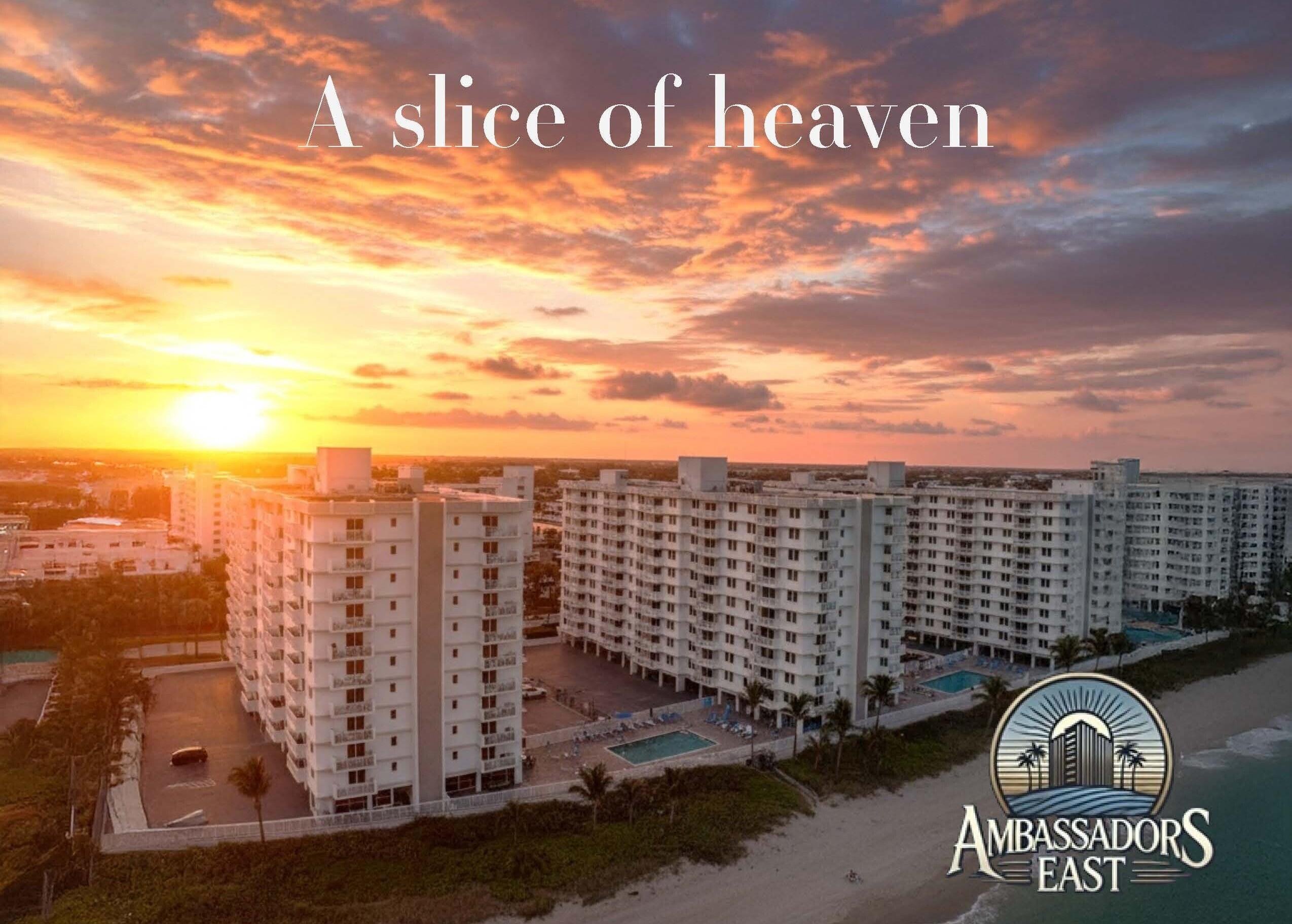 Image 2: AE_Slice of Heaven