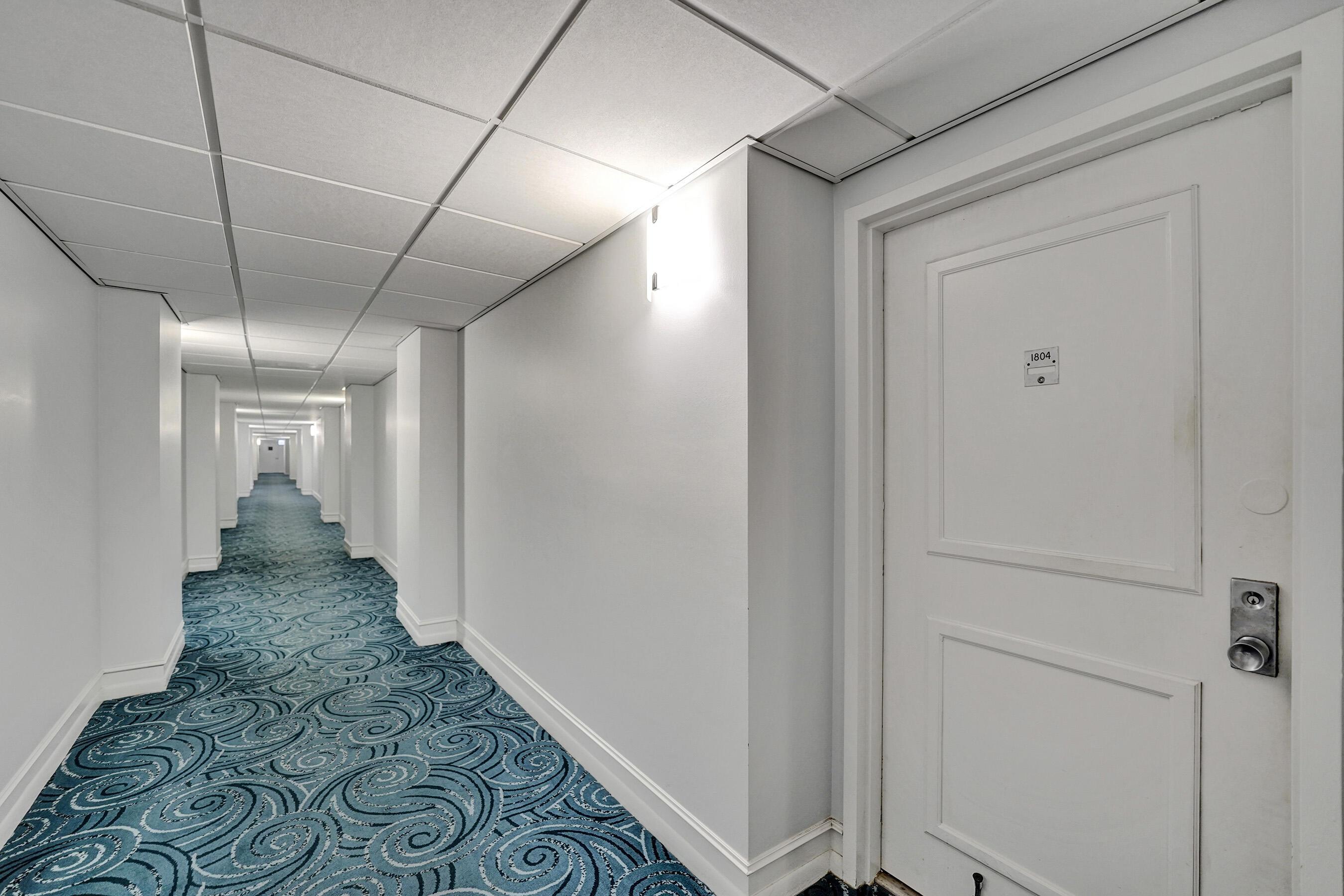 Image 3: DSC00297