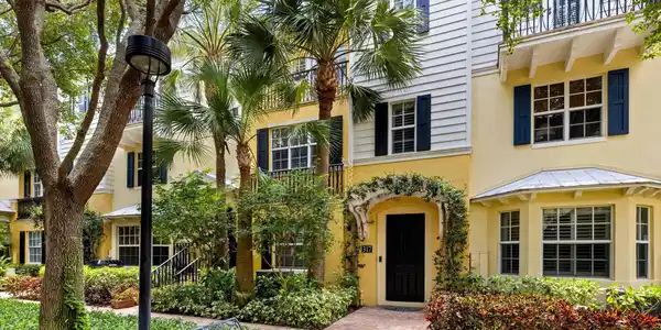 317 S Bromeliad