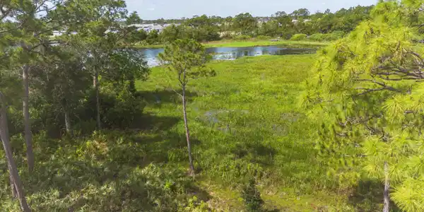 Image 3: 13464 Harbour Ridge - 4-0699