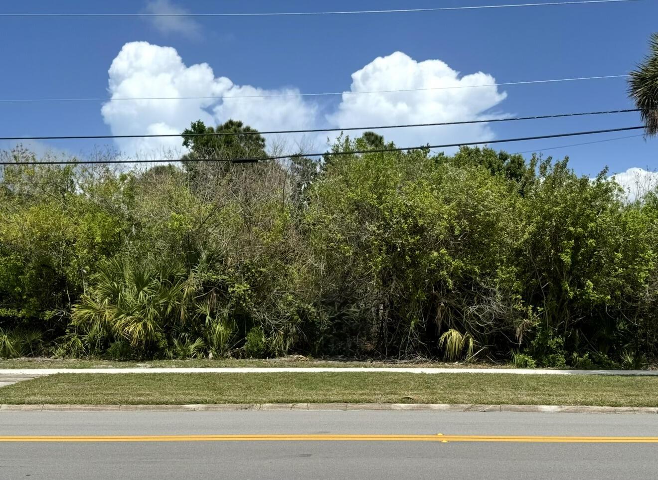 Image 3: Image 03