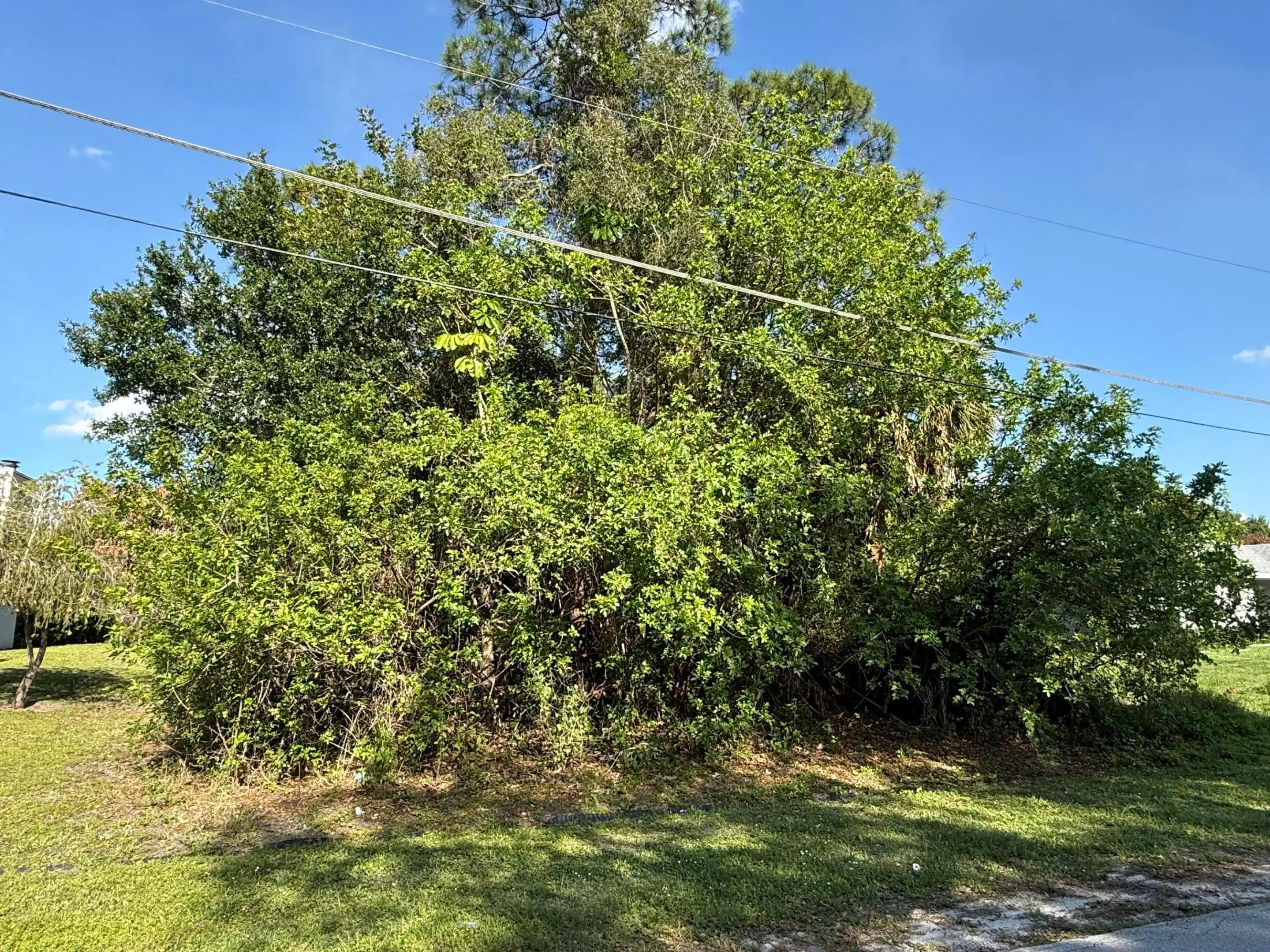 Image 1: 2325 SE Saphire Terrace
