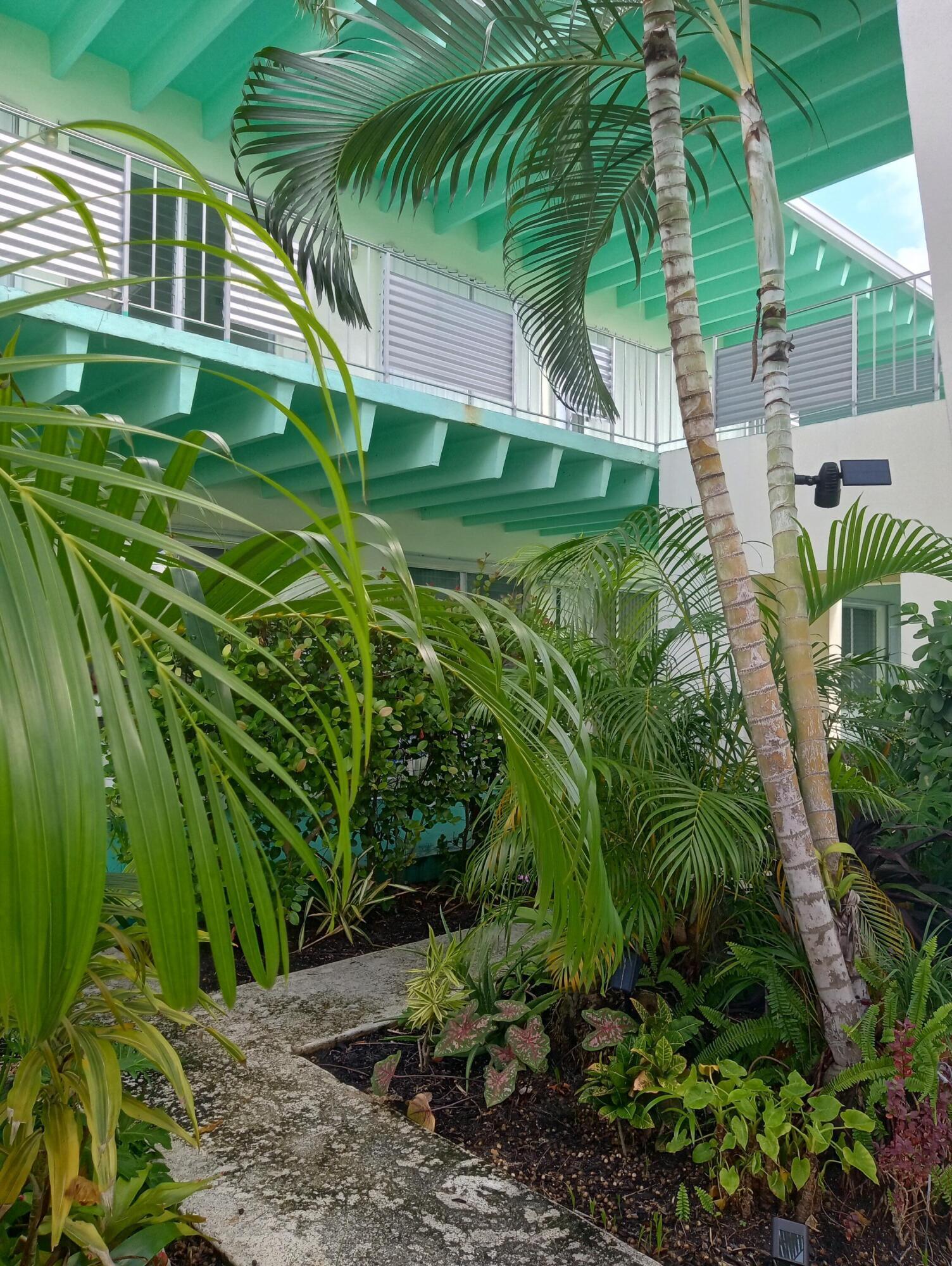 Image 3: COURTYARD