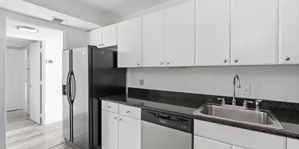 Image 4: SS appliances