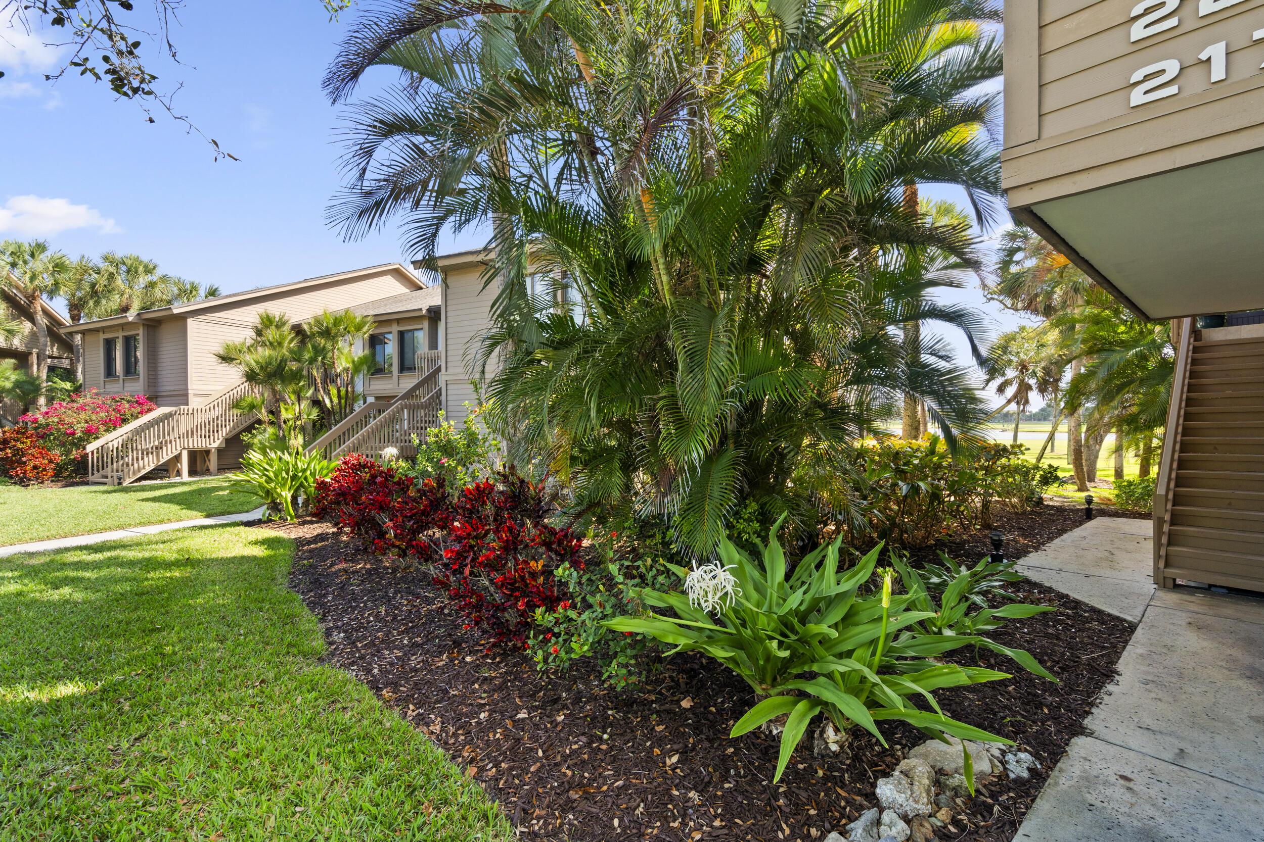 Image 3: Lush landscaping