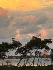 27 Harbour Isle Drive W