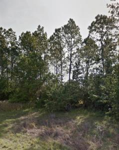Lot 12 Silverleaf Road
