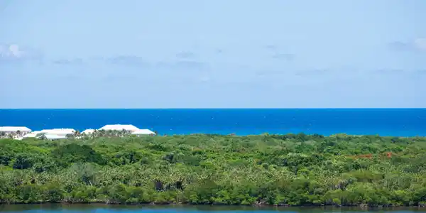 115 Lakeshore Drive