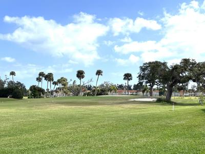 4 Vista Palm Lane