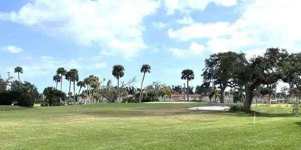 4 Vista Palm Lane