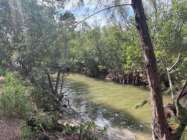 Image 2: Magroves and ditch on south side (1)