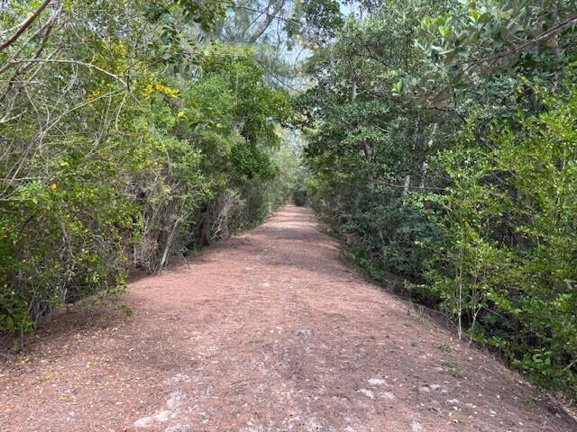 Image 3: Mosquito Trail on rear of site (1)