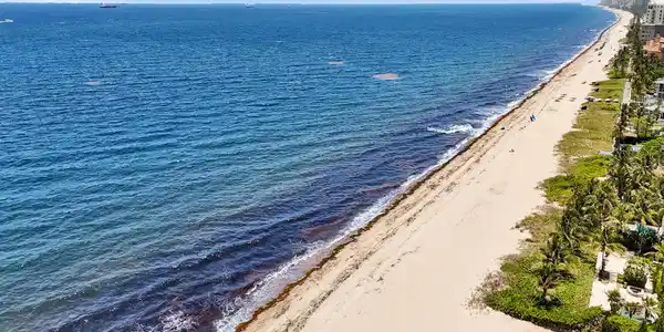 Image 2: DJI_20260708132432_0376_D